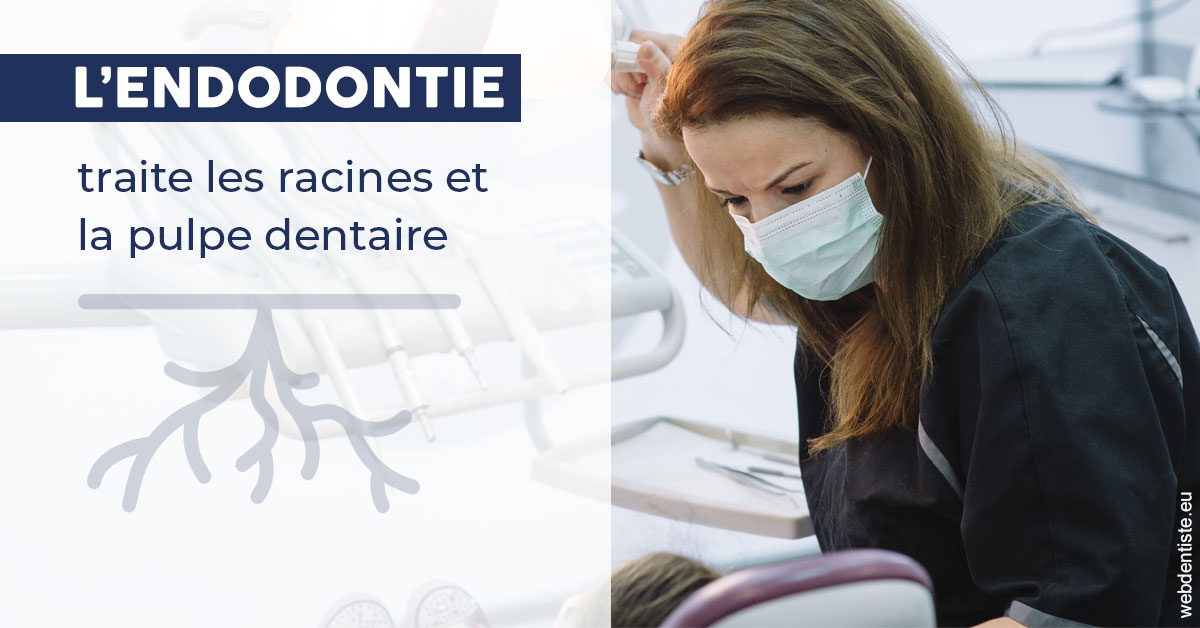 https://www.dr-hivelin-orvault.fr/L'endodontie 1