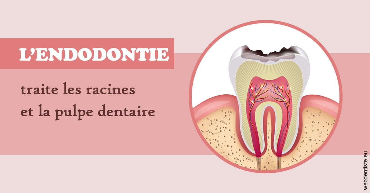 https://www.dr-hivelin-orvault.fr/L'endodontie 2