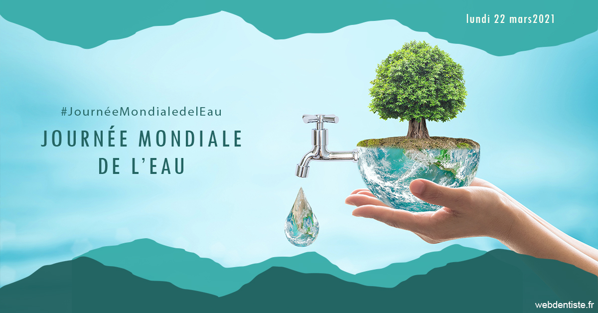 https://www.dr-hivelin-orvault.fr/Journée de l'eau 1