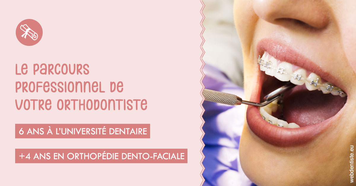 https://www.dr-hivelin-orvault.fr/Parcours professionnel ortho 1