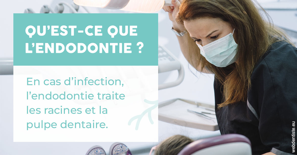 https://www.dr-hivelin-orvault.fr/2024 T1 - Endodontie 01